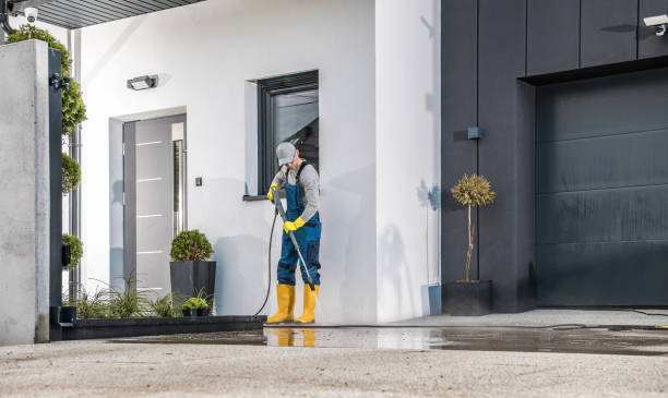 Best Solar Panel Cleaning  in Stro Valley, CA